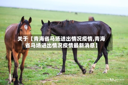 关于【青海省马场进出情况疫情,青海省马场进出情况疫情最新消息】-第2张图片