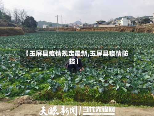 【玉屏县疫情规定最新,玉屏县疫情防控】-第2张图片