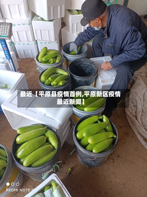 最近【平原县疫情首例,平原新区疫情最近新闻】