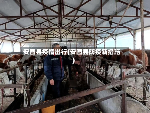 安图县疫情出行(安图县防疫新措施)-第2张图片