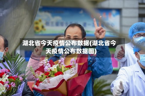 湖北省今天疫情公布数据(湖北省今天疫情公布数据图)