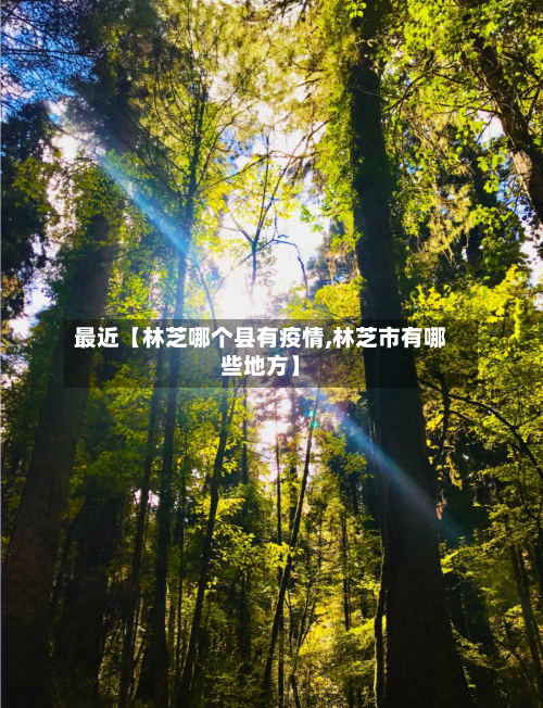 最近【林芝哪个县有疫情,林芝市有哪些地方】