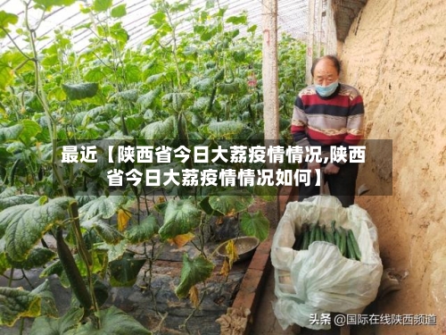 最近【陕西省今日大荔疫情情况,陕西省今日大荔疫情情况如何】