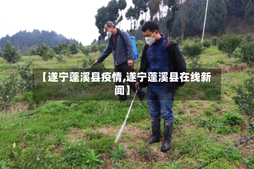 【遂宁蓬溪县疫情,遂宁蓬溪县在线新闻】