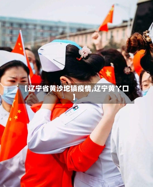 【辽宁省黄沙坨镇疫情,辽宁黄丫口】