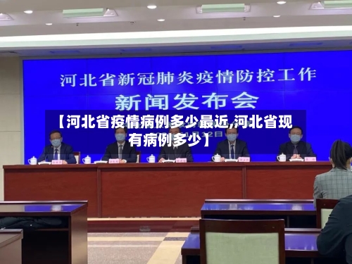 【河北省疫情病例多少最近,河北省现有病例多少】-第2张图片