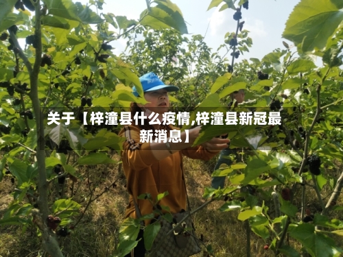 关于【梓潼县什么疫情,梓潼县新冠最新消息】