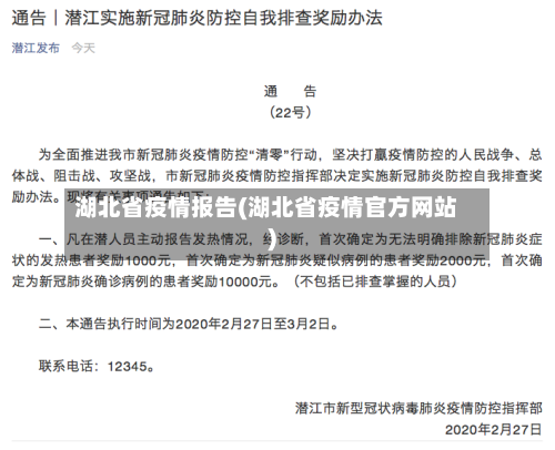 湖北省疫情报告(湖北省疫情官方网站)