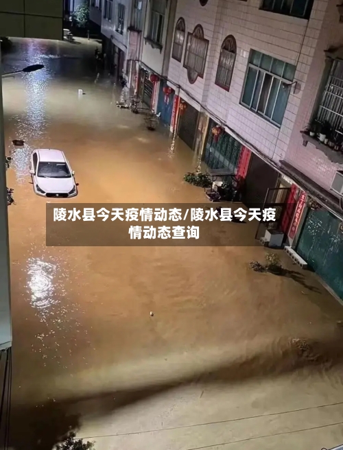 陵水县今天疫情动态/陵水县今天疫情动态查询