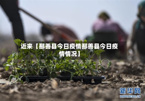 近来【鄯善县今日疫情鄯善县今日疫情情况】