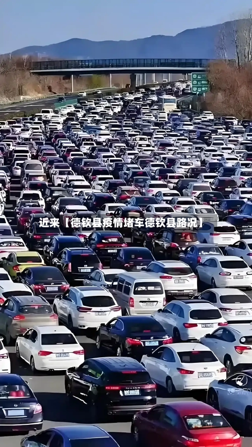 近来【德钦县疫情堵车德钦县路况】-第3张图片