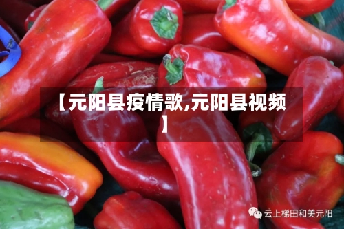 【元阳县疫情歌,元阳县视频】
