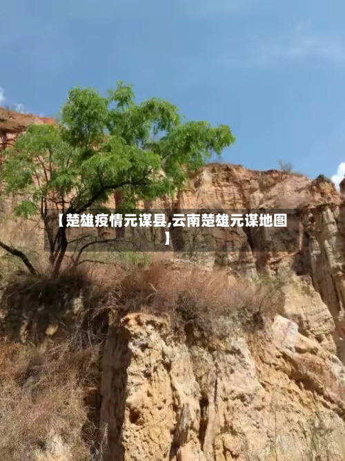 【楚雄疫情元谋县,云南楚雄元谋地图】-第2张图片