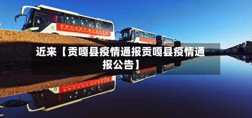 近来【贡嘎县疫情通报贡嘎县疫情通报公告】-第3张图片