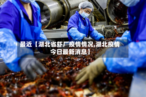 最近【湖北省虾厂疫情情况,湖北疫情今日最新消息】-第2张图片