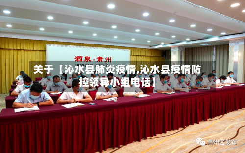 关于【沁水县肺炎疫情,沁水县疫情防控领导小组电话】-第2张图片