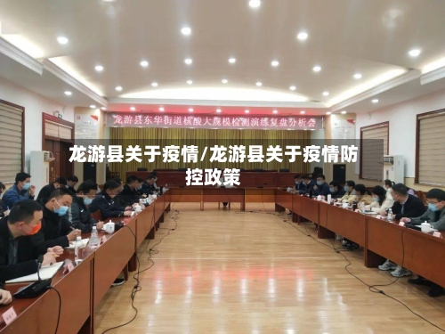 龙游县关于疫情/龙游县关于疫情防控政策