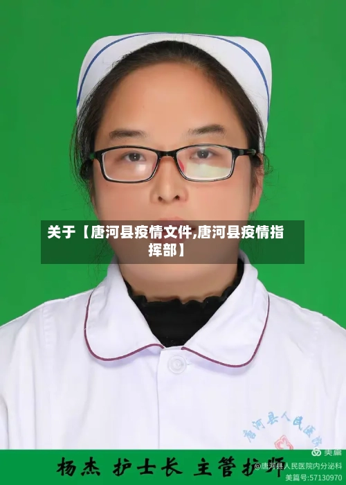 关于【唐河县疫情文件,唐河县疫情指挥部】-第2张图片