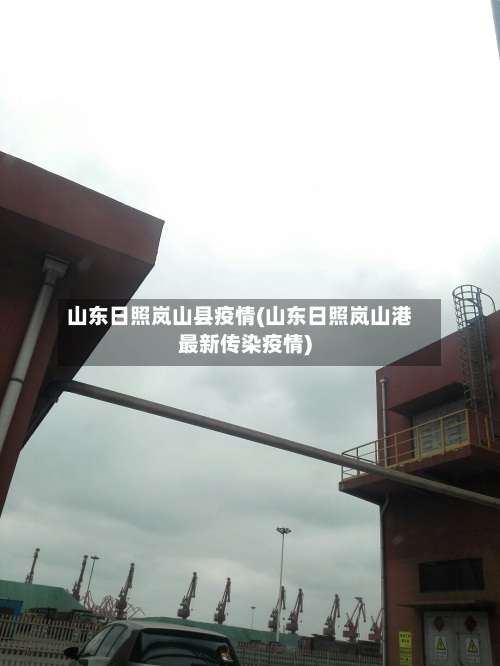 山东日照岚山县疫情(山东日照岚山港最新传染疫情)