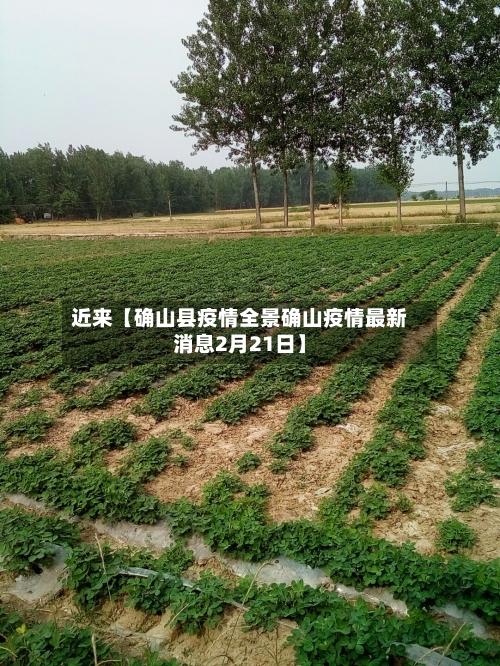 近来【确山县疫情全景确山疫情最新消息2月21日】
