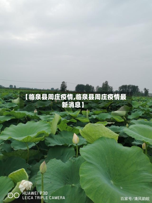 【临泉县周庄疫情,临泉县周庄疫情最新消息】-第2张图片