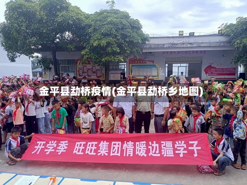 金平县勐桥疫情(金平县勐桥乡地图)