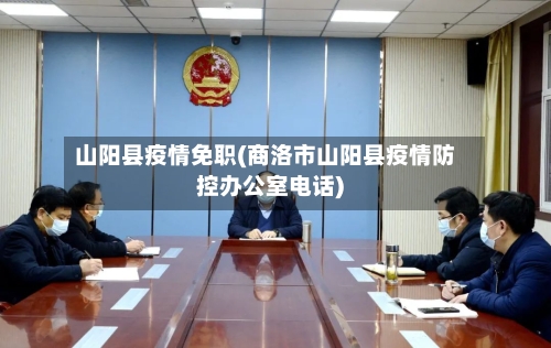 山阳县疫情免职(商洛市山阳县疫情防控办公室电话)