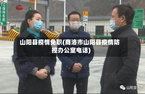 山阳县疫情免职(商洛市山阳县疫情防控办公室电话)-第2张图片