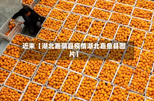 近来【湖北嘉荫县疫情湖北嘉鱼县图片】