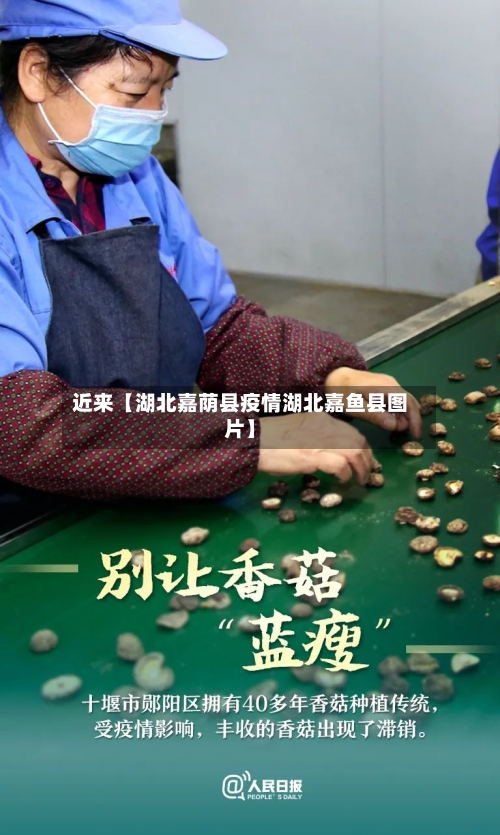 近来【湖北嘉荫县疫情湖北嘉鱼县图片】-第2张图片