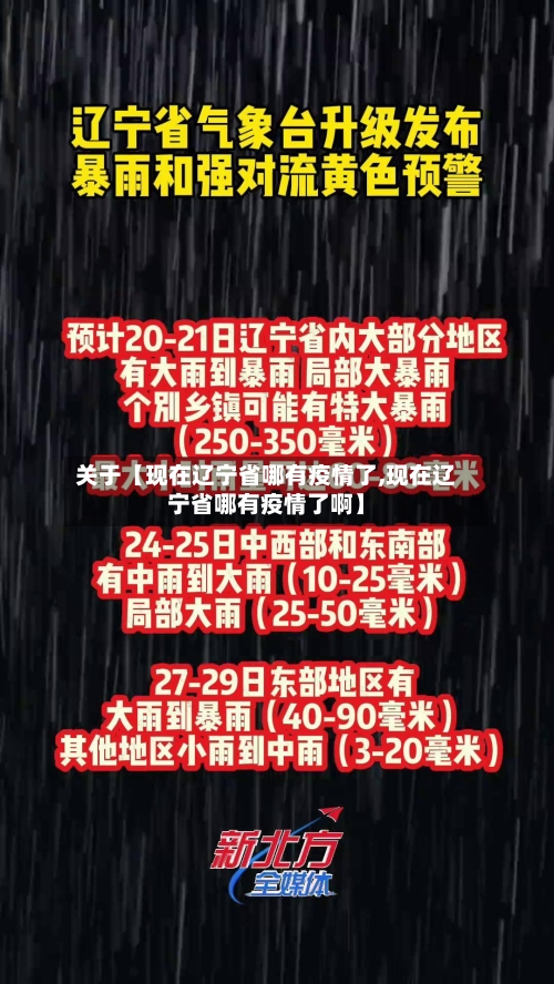 关于【现在辽宁省哪有疫情了,现在辽宁省哪有疫情了啊】-第2张图片