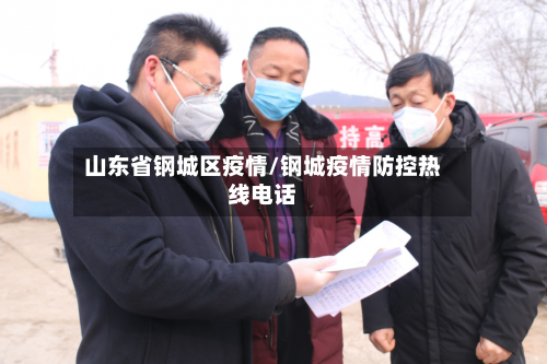 山东省钢城区疫情/钢城疫情防控热线电话-第3张图片