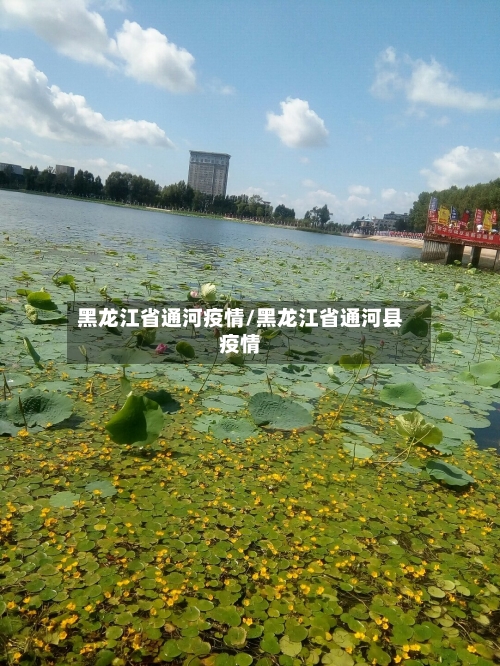 黑龙江省通河疫情/黑龙江省通河县疫情-第3张图片