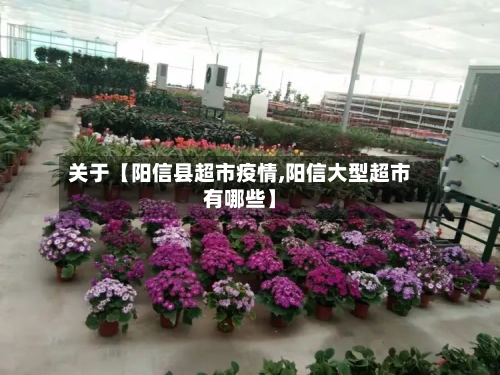 关于【阳信县超市疫情,阳信大型超市有哪些】-第2张图片