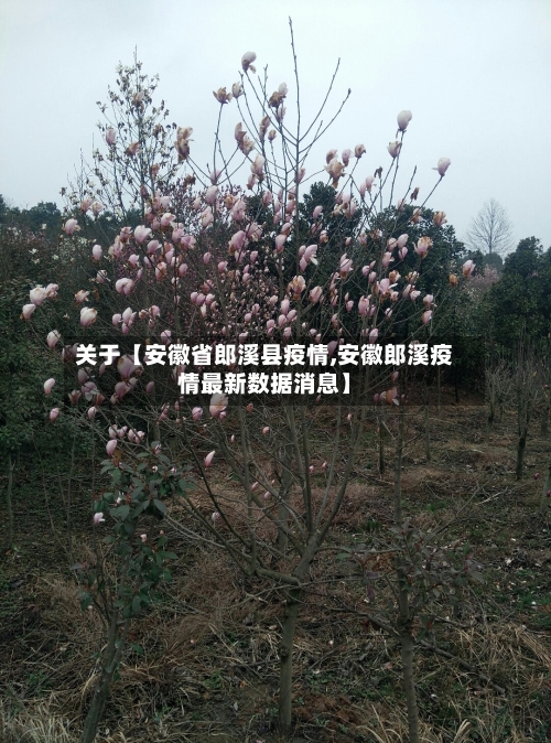 关于【安徽省郎溪县疫情,安徽郎溪疫情最新数据消息】-第3张图片