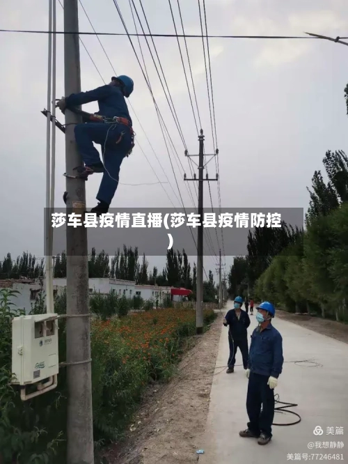 莎车县疫情直播(莎车县疫情防控)-第3张图片