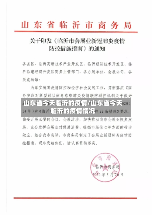 山东省今天临沂的疫情/山东省今天临沂的疫情情况-第3张图片