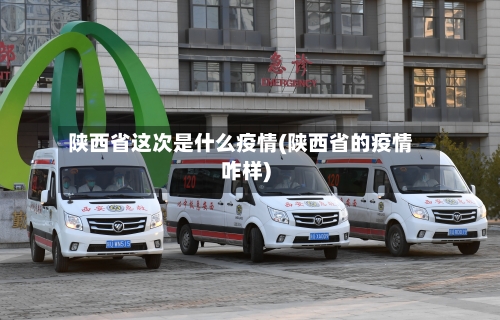陕西省这次是什么疫情(陕西省的疫情咋样)-第2张图片