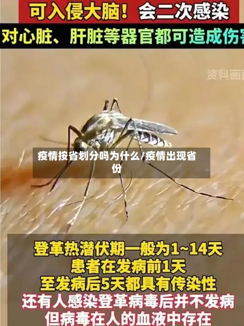 疫情按省划分吗为什么/疫情出现省份-第3张图片