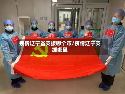 疫情辽宁省支援哪个市/疫情辽宁支援哪里-第2张图片