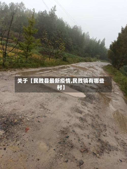关于【民胜县最新疫情,民胜镇有哪些村】