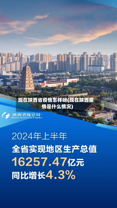 现在陕西省疫情怎样呀(现在陕西疫情是什么情况)-第2张图片