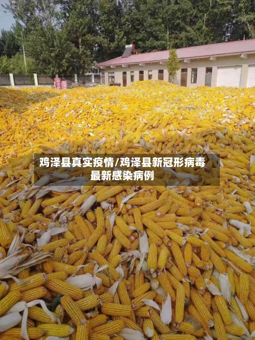 鸡泽县真实疫情/鸡泽县新冠形病毒最新感染病例-第2张图片