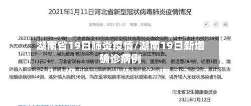 湖南省19日肺炎疫情/湖南19日新增确诊病例-第2张图片