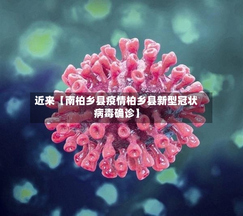近来【南柏乡县疫情柏乡县新型冠状病毒确诊】
