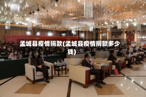 孟城县疫情捐款(孟城县疫情捐款多少钱)-第2张图片
