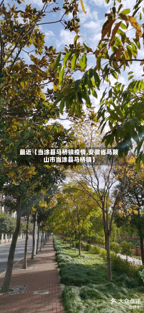 最近【当涂县马桥镇疫情,安徽省马鞍山市当涂县马桥镇】-第2张图片