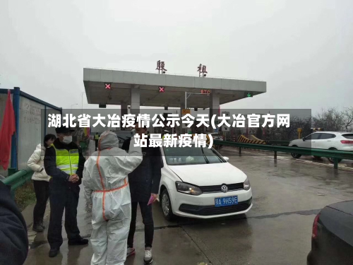 湖北省大冶疫情公示今天(大冶官方网站最新疫情)-第2张图片