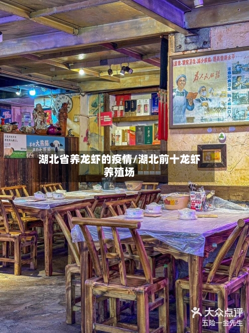 湖北省养龙虾的疫情/湖北前十龙虾养殖场-第2张图片