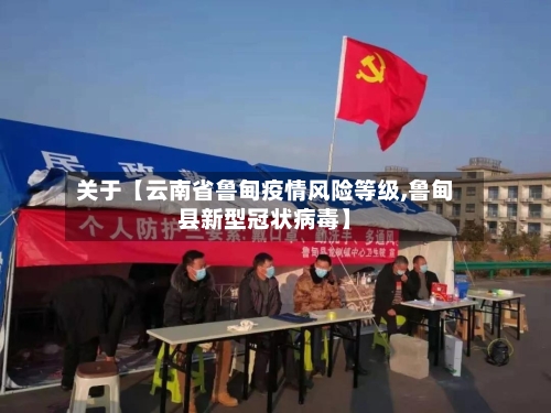 关于【云南省鲁甸疫情风险等级,鲁甸县新型冠状病毒】